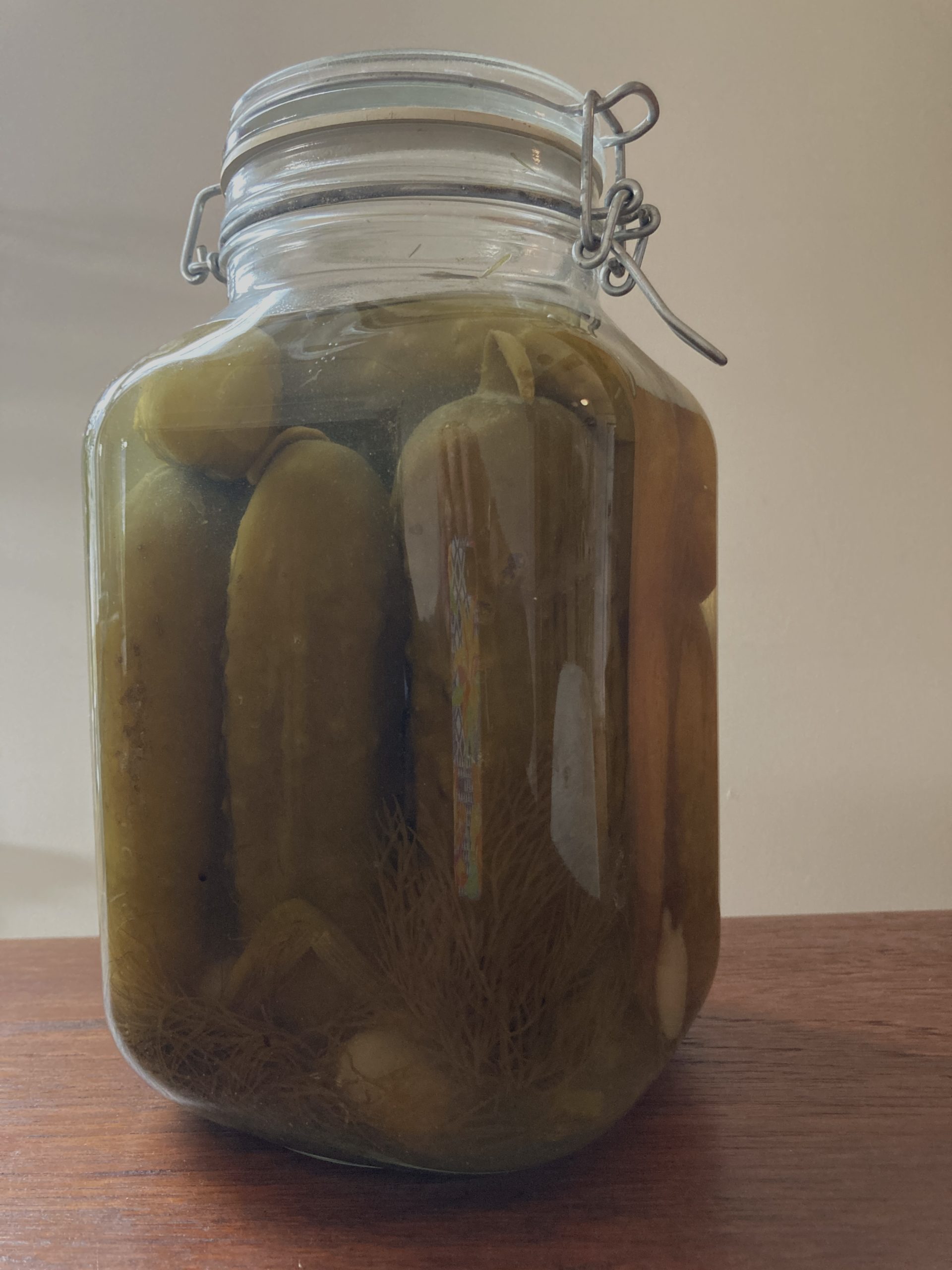 Winter Canning: A Love Affair with My Pressure Canner - Sufficient Growing