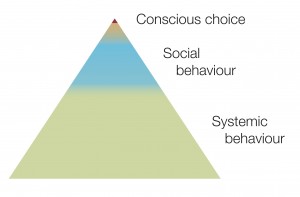 behaviour pyramid